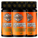 3 X Ligandrol (60 Caps) - Dragon Elite