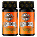 Kit Ligandrol + RAD140 - Dragon Elite